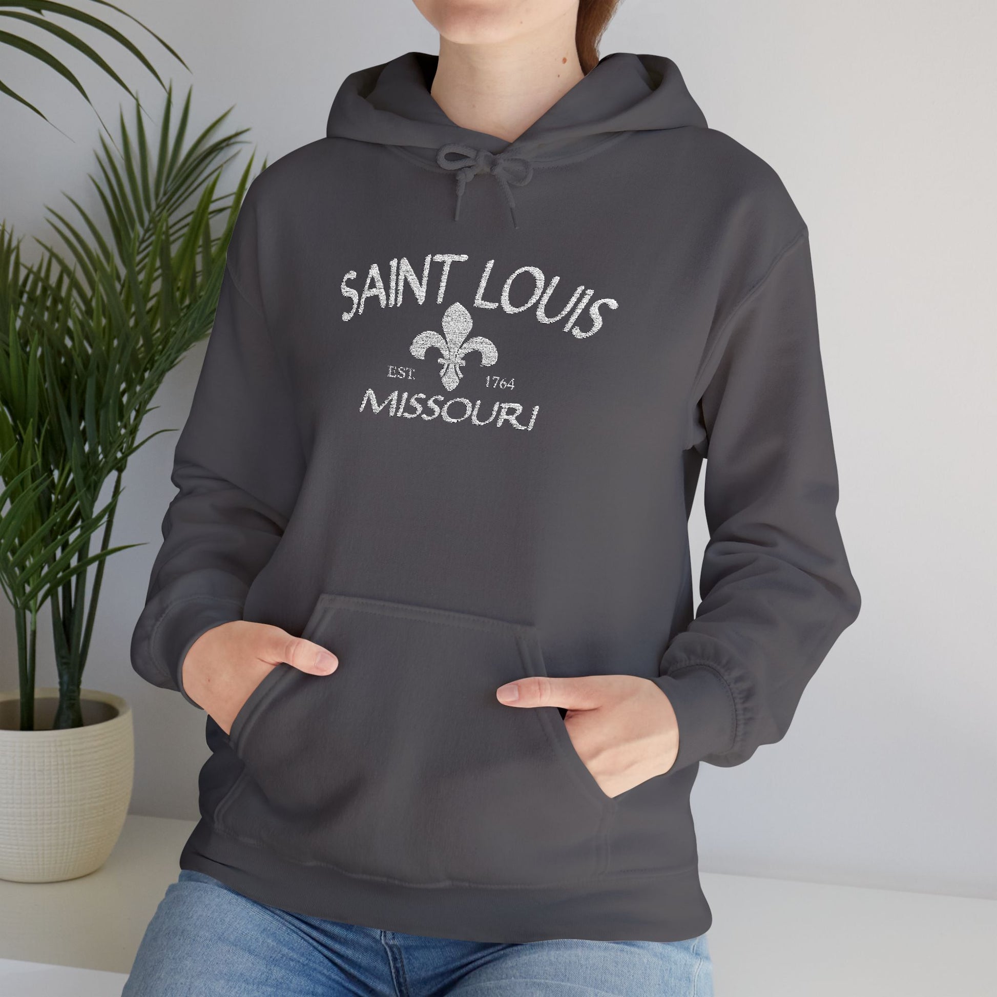 Saint Louis Missouri Embroidered Hoodie — White Lettering Printify