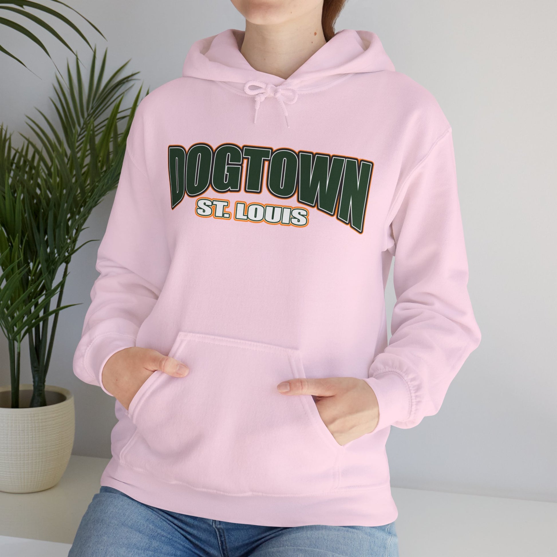Dogtown Neighborhood Hoodie Printify