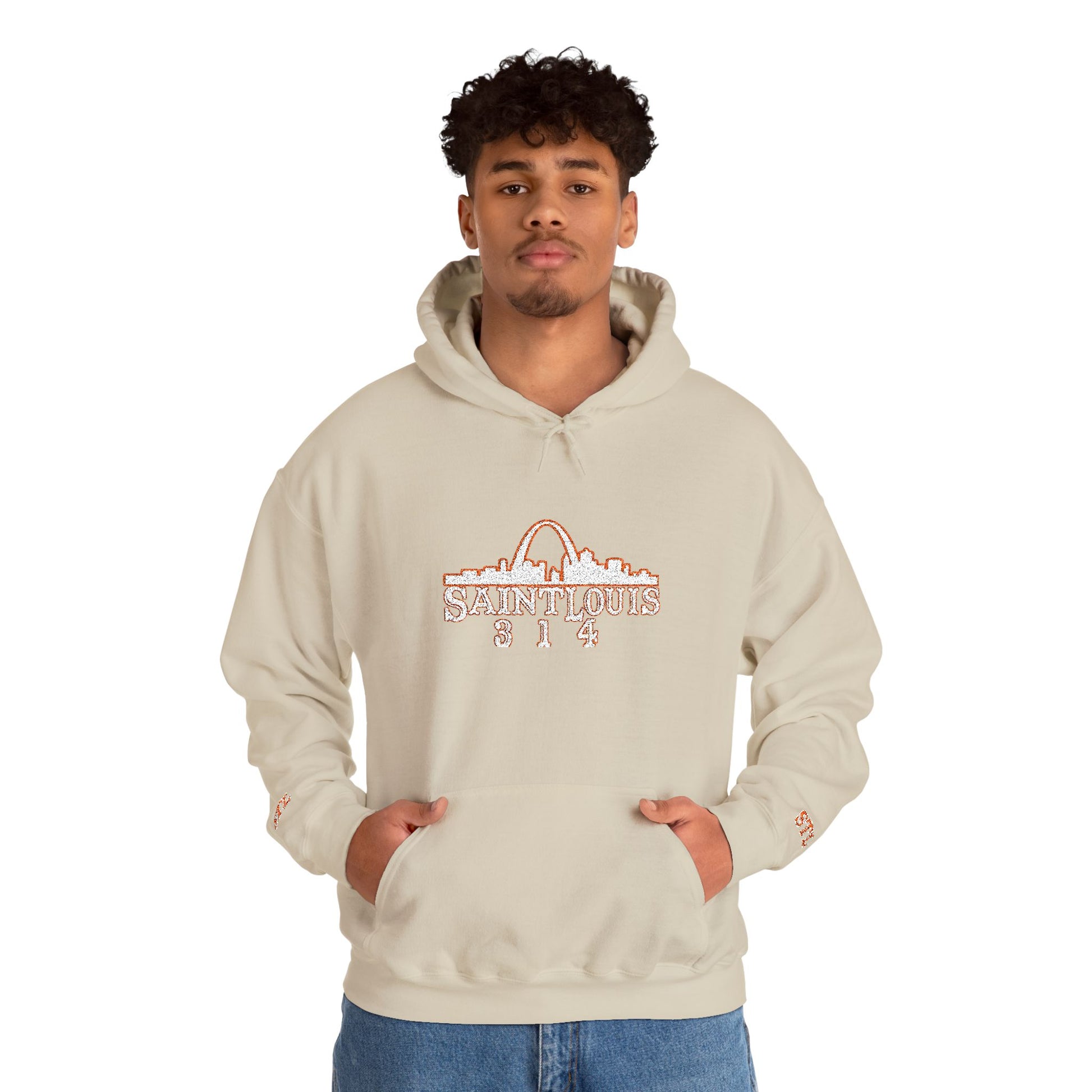 St. Louis Skyline Embroidered Hoodie Printify