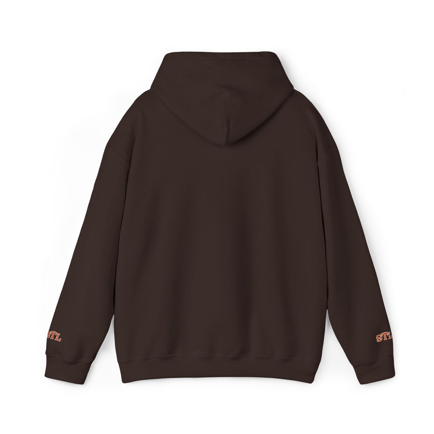 St. Louis Skyline Embroidered Hoodie Printify