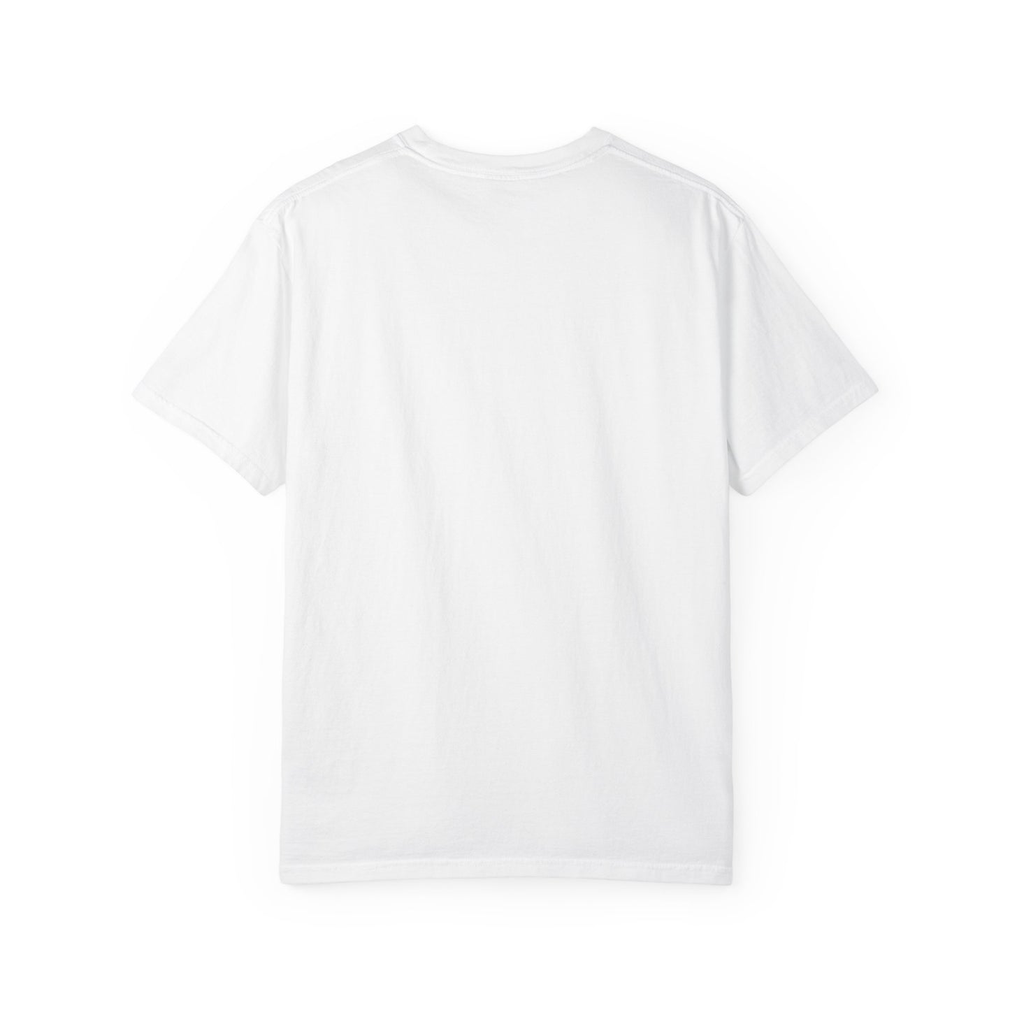 Saint Louis Missouri T-Shirt — Vintage St. Louis Flag Graphic Tee