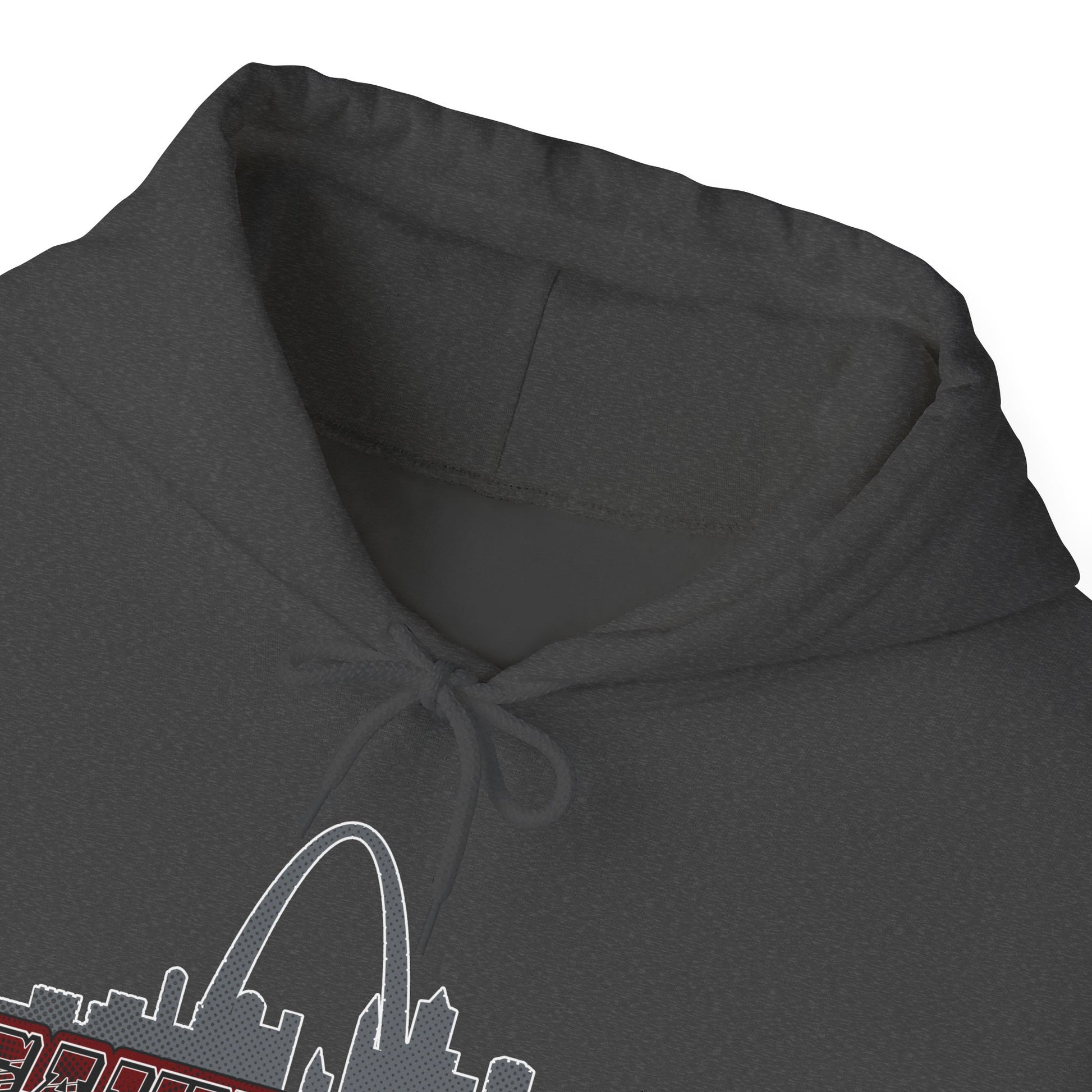 Saint Louis Hoodie Printify