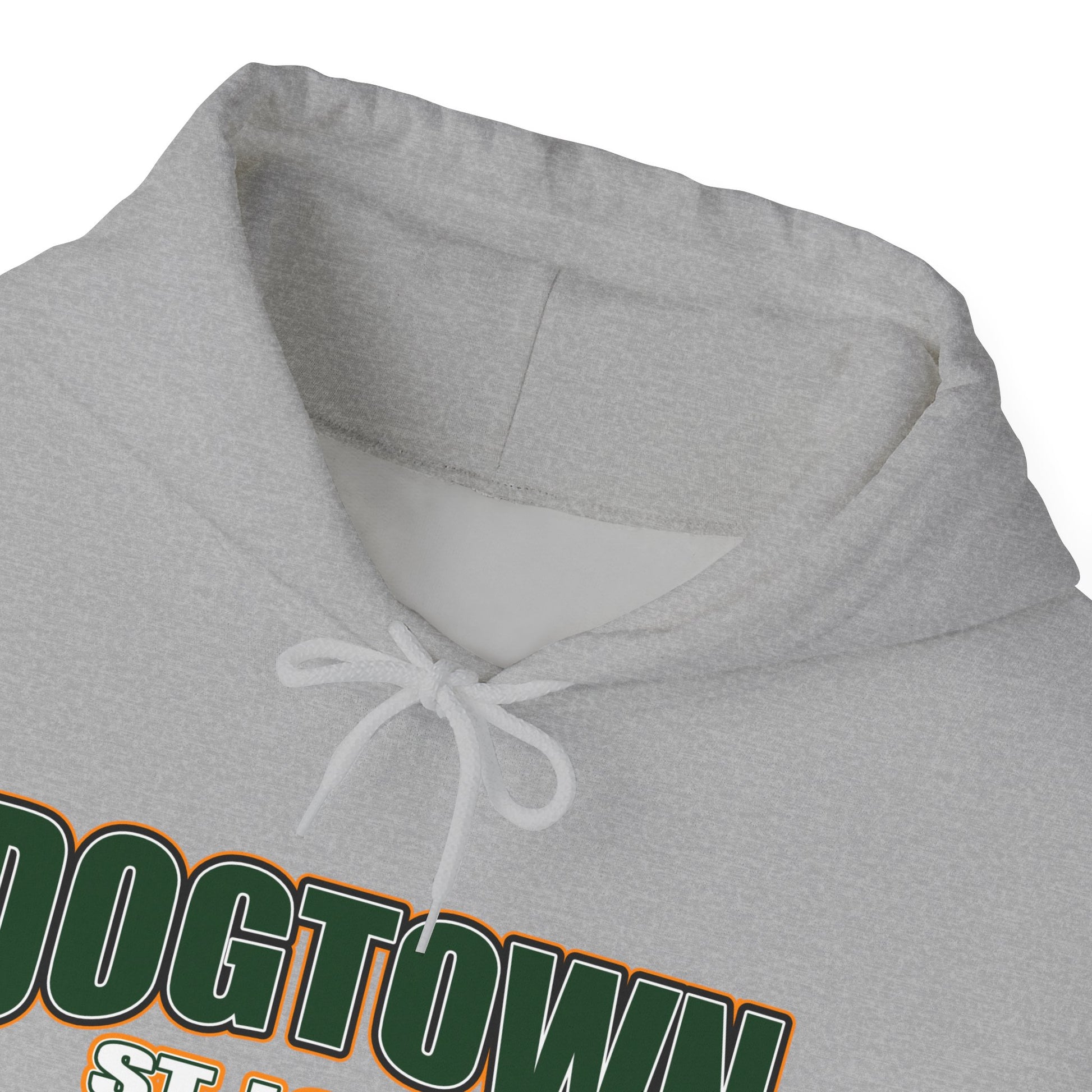 Dogtown Neighborhood Hoodie Printify
