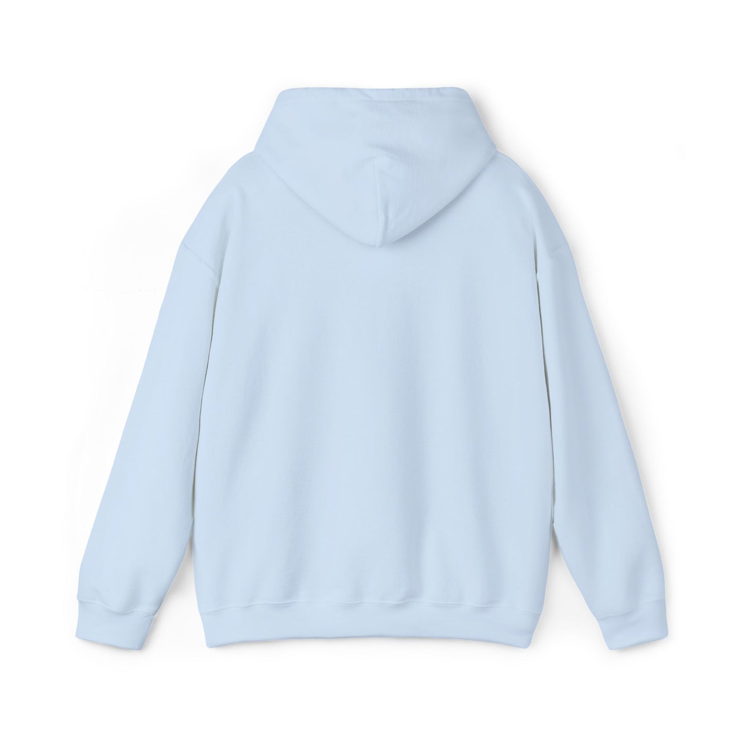 Saint Louis Missouri Embroidered Hoodie (Black Lettering)