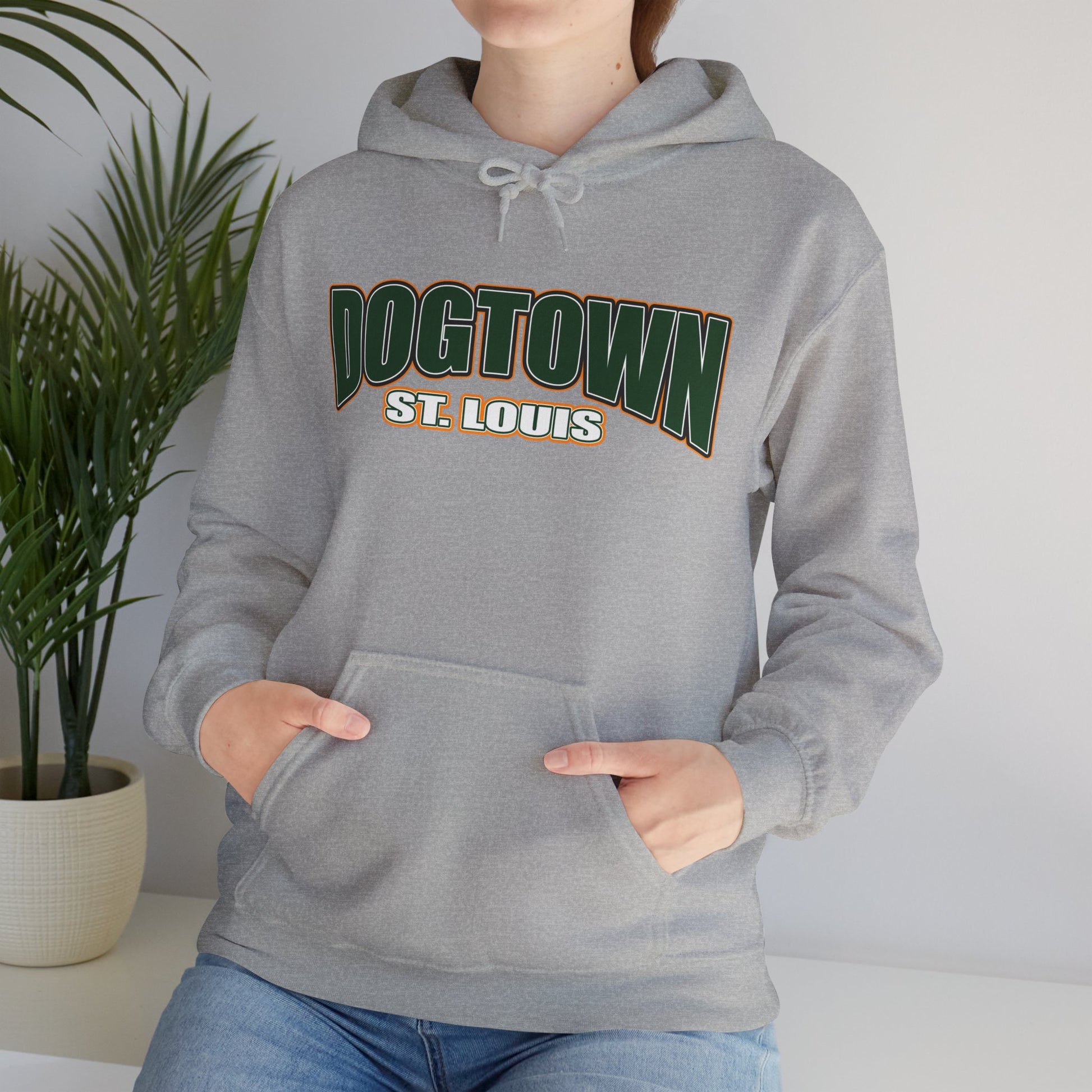 Dogtown Neighborhood Hoodie Printify