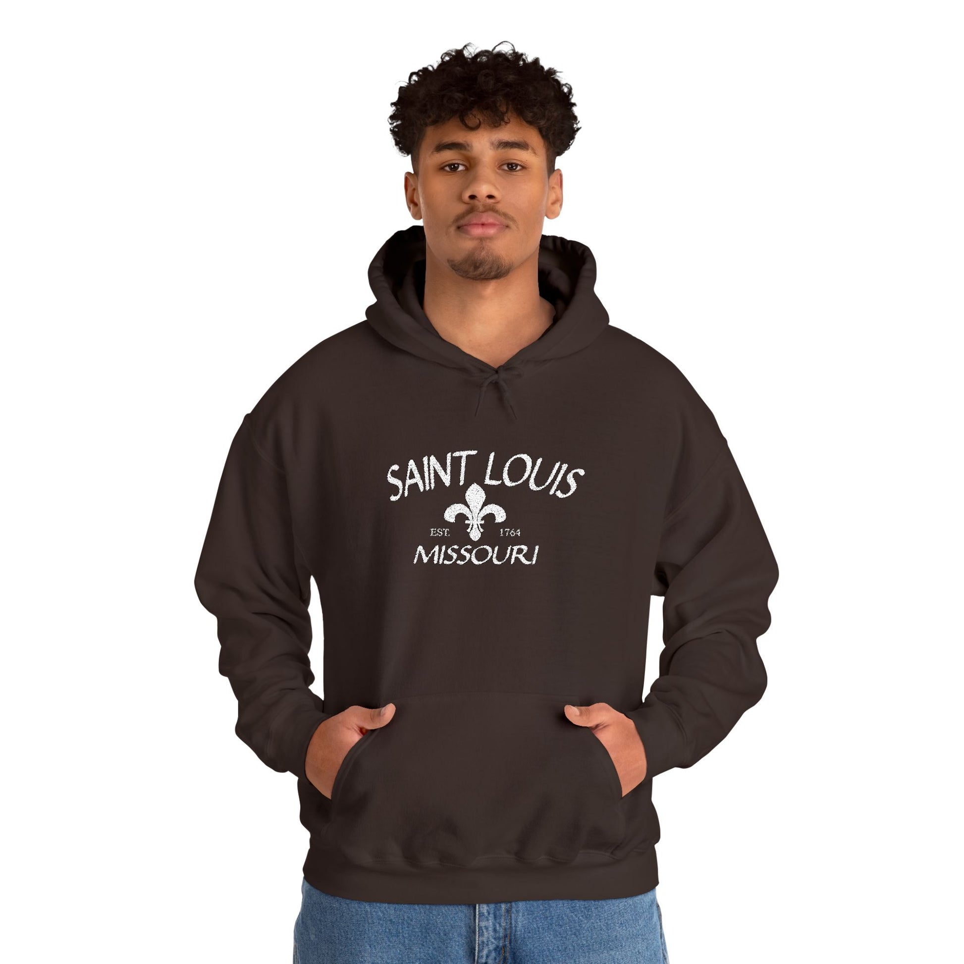 Saint Louis Missouri Embroidered Hoodie — White Lettering Printify