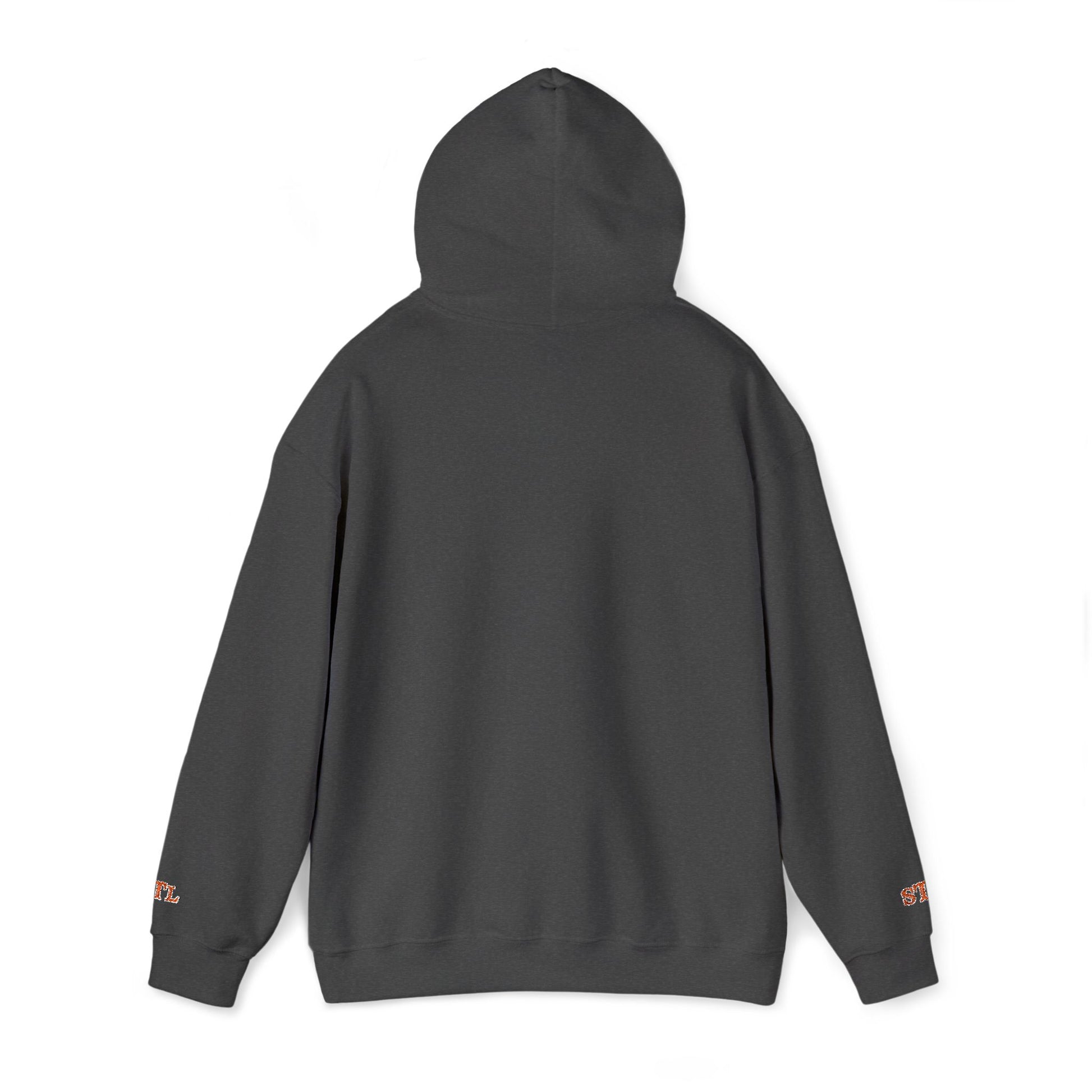 St. Louis Skyline Embroidered Hoodie Printify