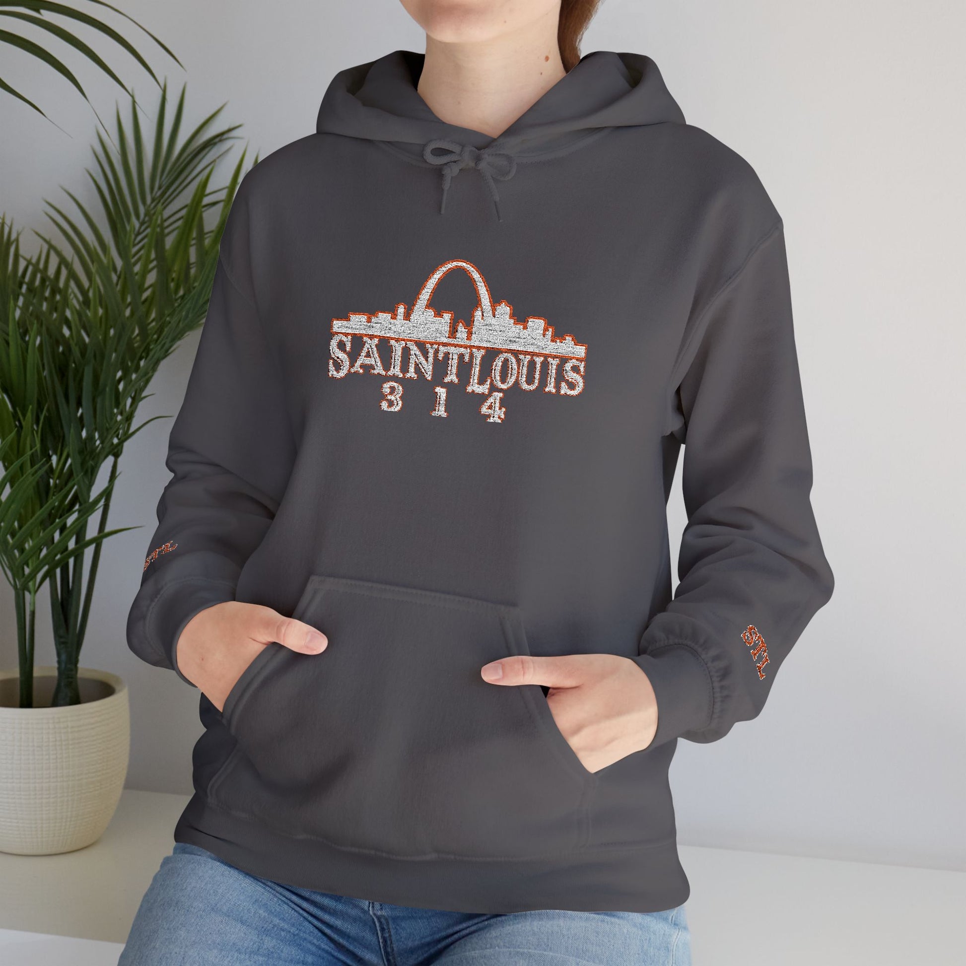 St. Louis Skyline Embroidered Hoodie Printify