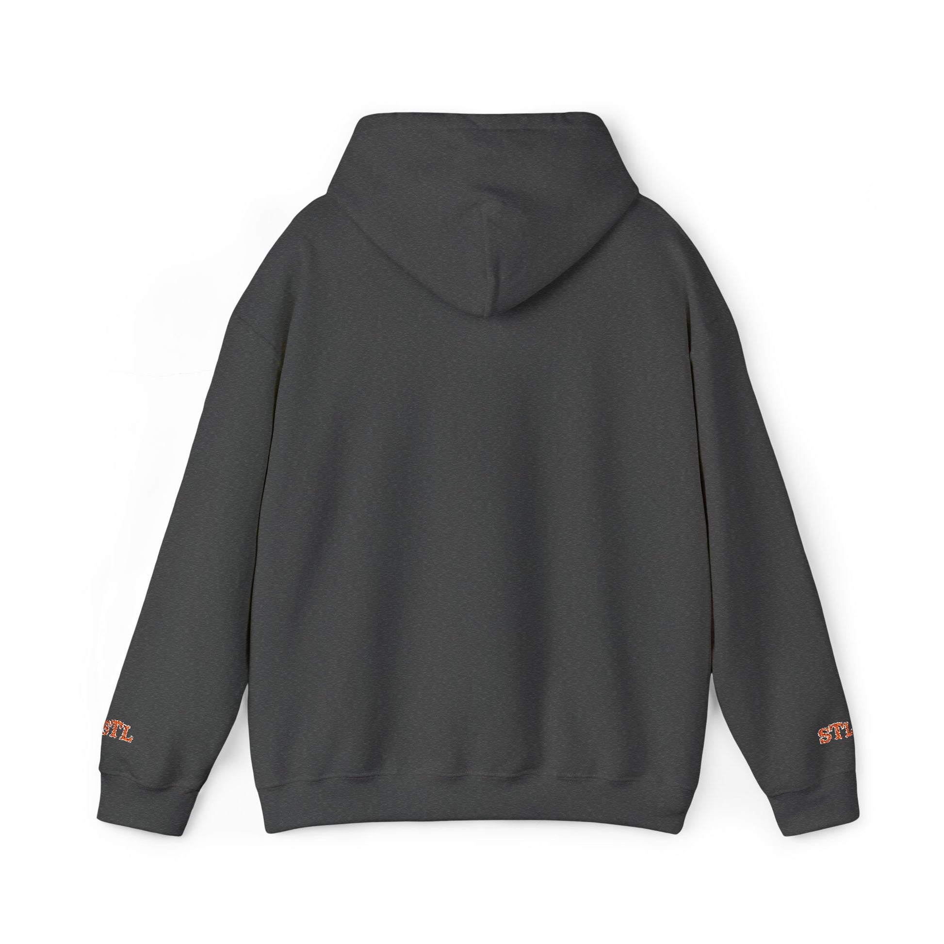 St. Louis Skyline Embroidered Hoodie Printify