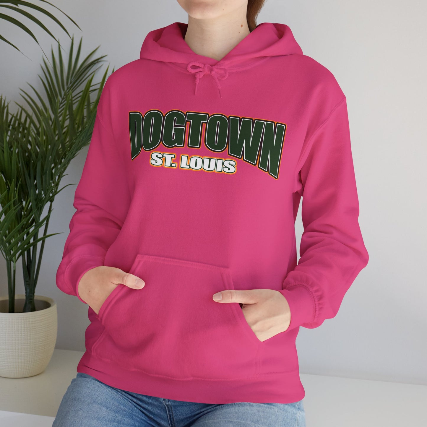 Dogtown Neighborhood Hoodie Printify