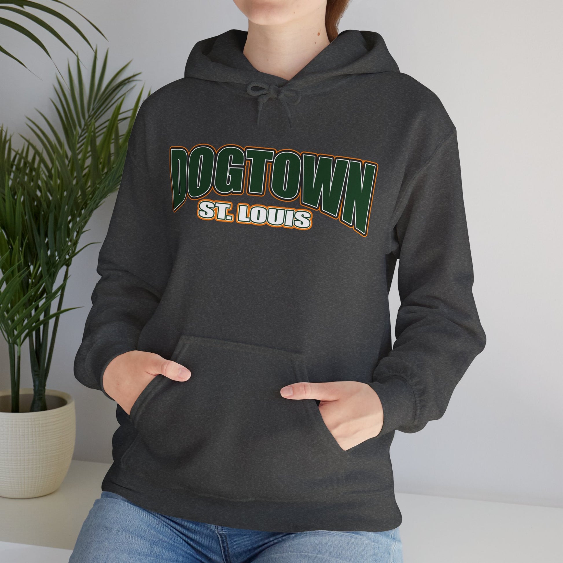 Dogtown Neighborhood Hoodie Printify