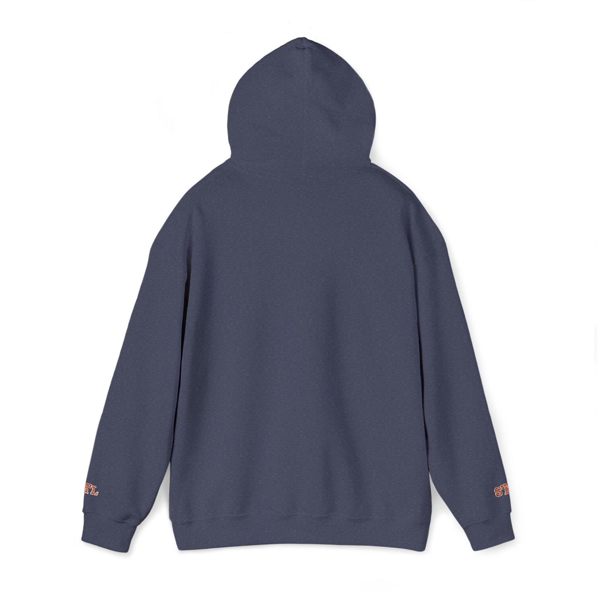 St. Louis Skyline Embroidered Hoodie Printify