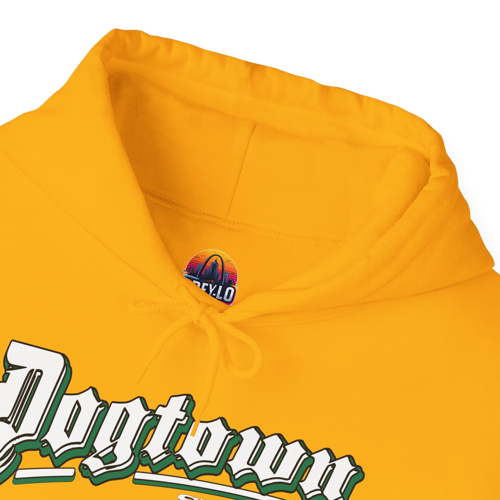Dogtown Old School Unisex Heavy Blend™ Hooded Sweatshirt Printify