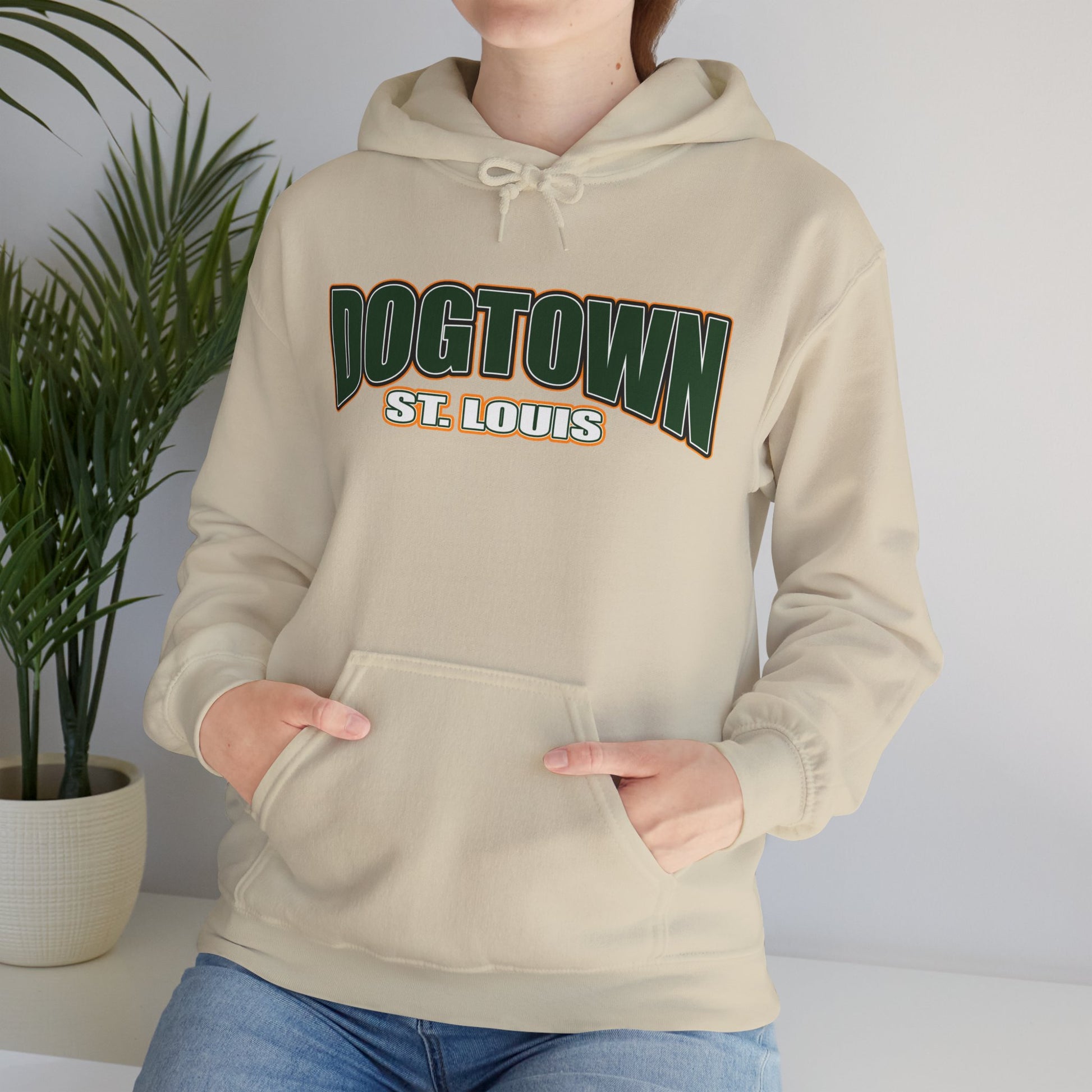 Dogtown Neighborhood Hoodie Printify