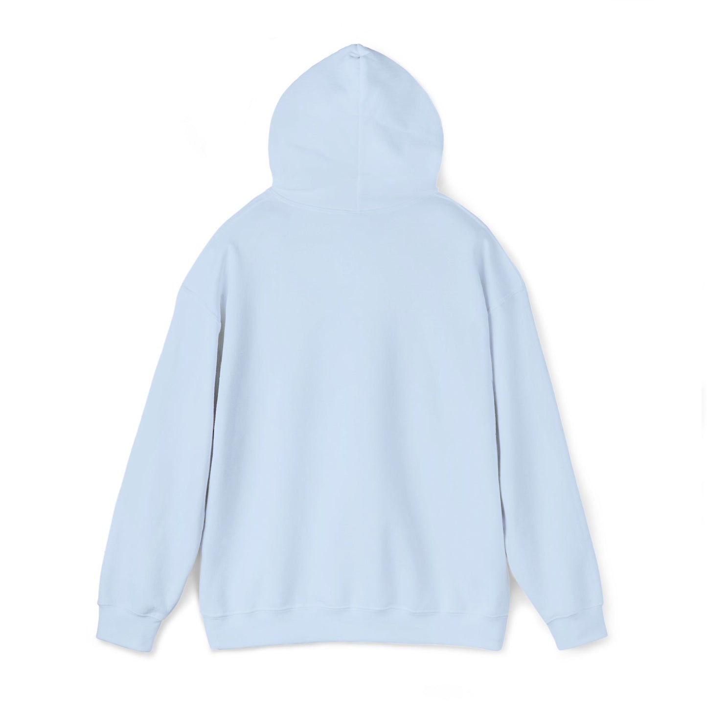Saint Louis Missouri Embroidered Hoodie (Black Lettering)