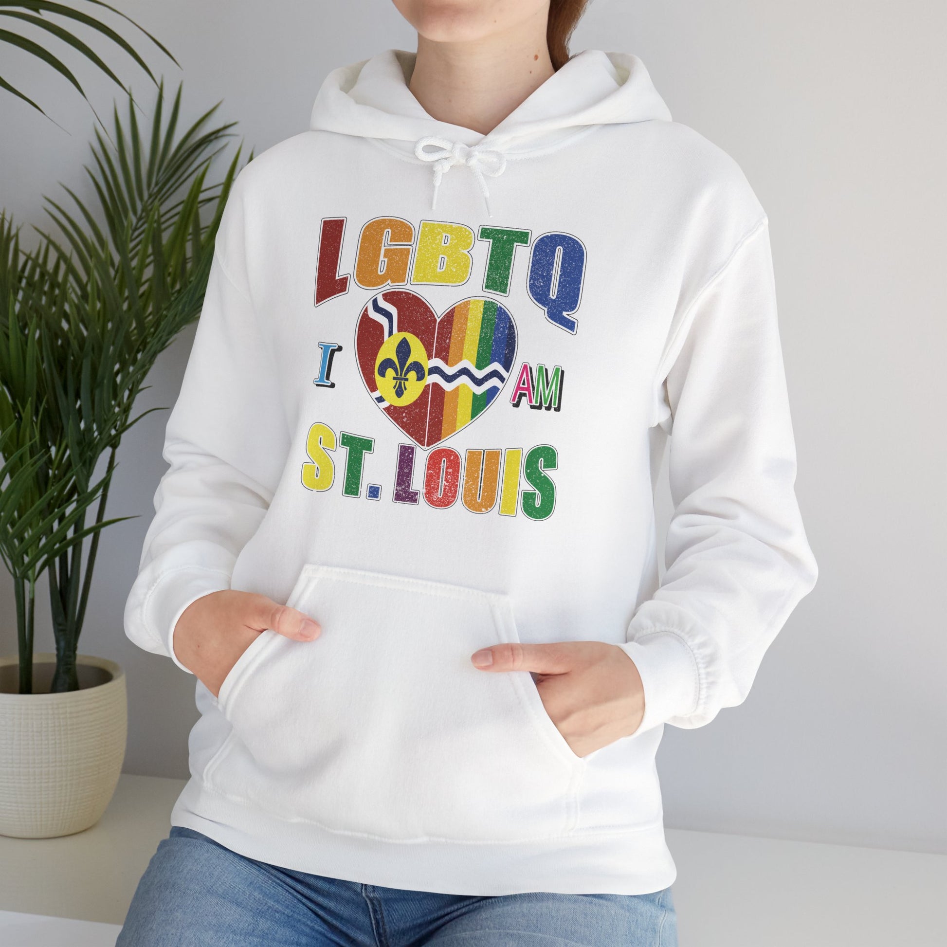 Pride St Louis Hoodie Printify