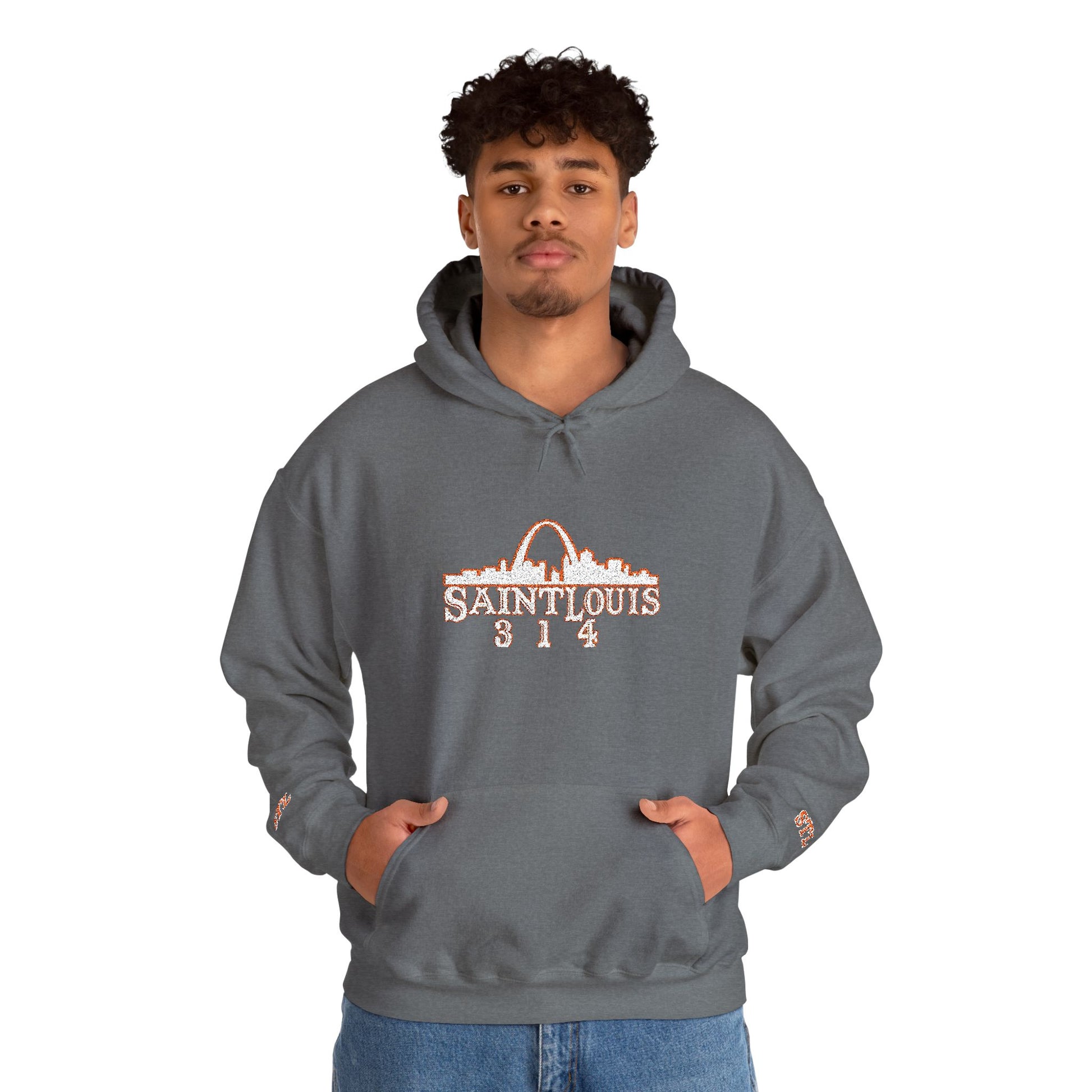 St. Louis Skyline Embroidered Hoodie Printify