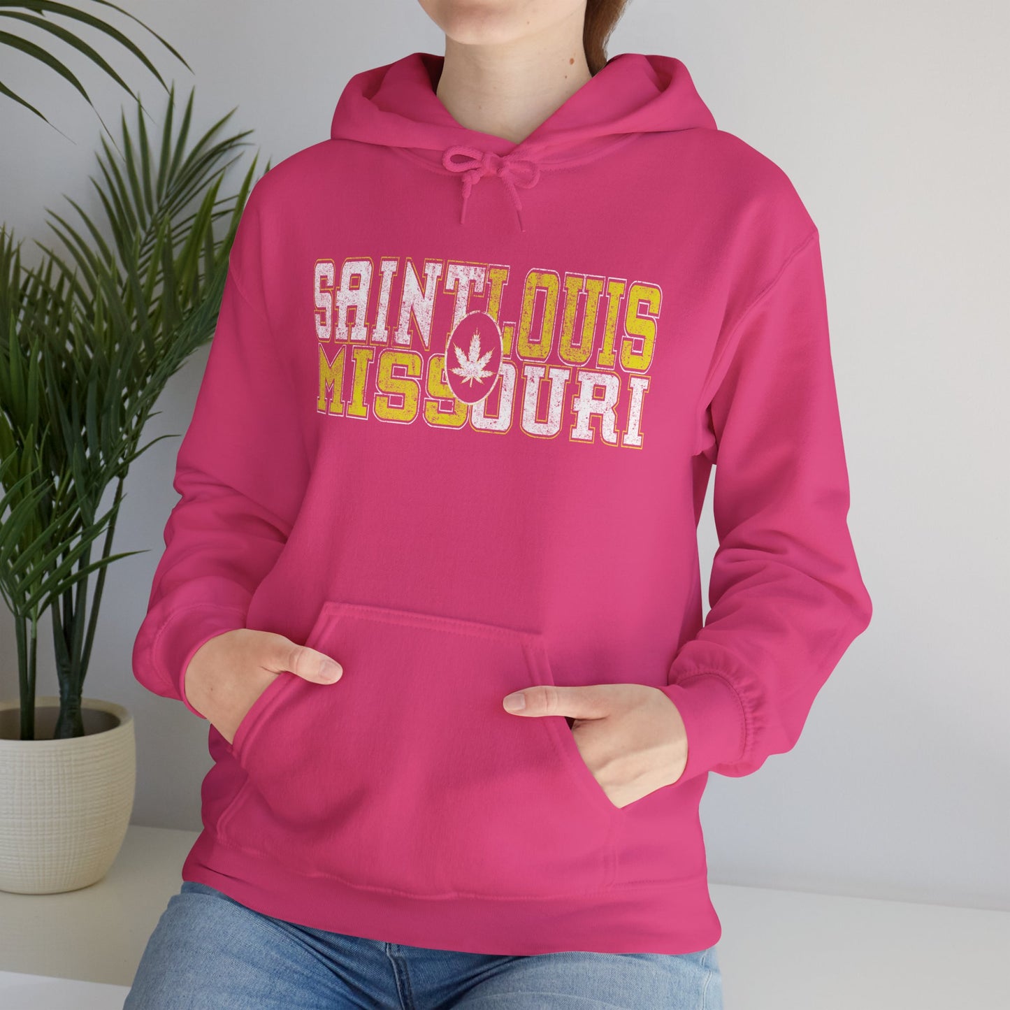 Saint Louis Missouri Hoodie – Retro Collegiate Design with Leaf Emblem