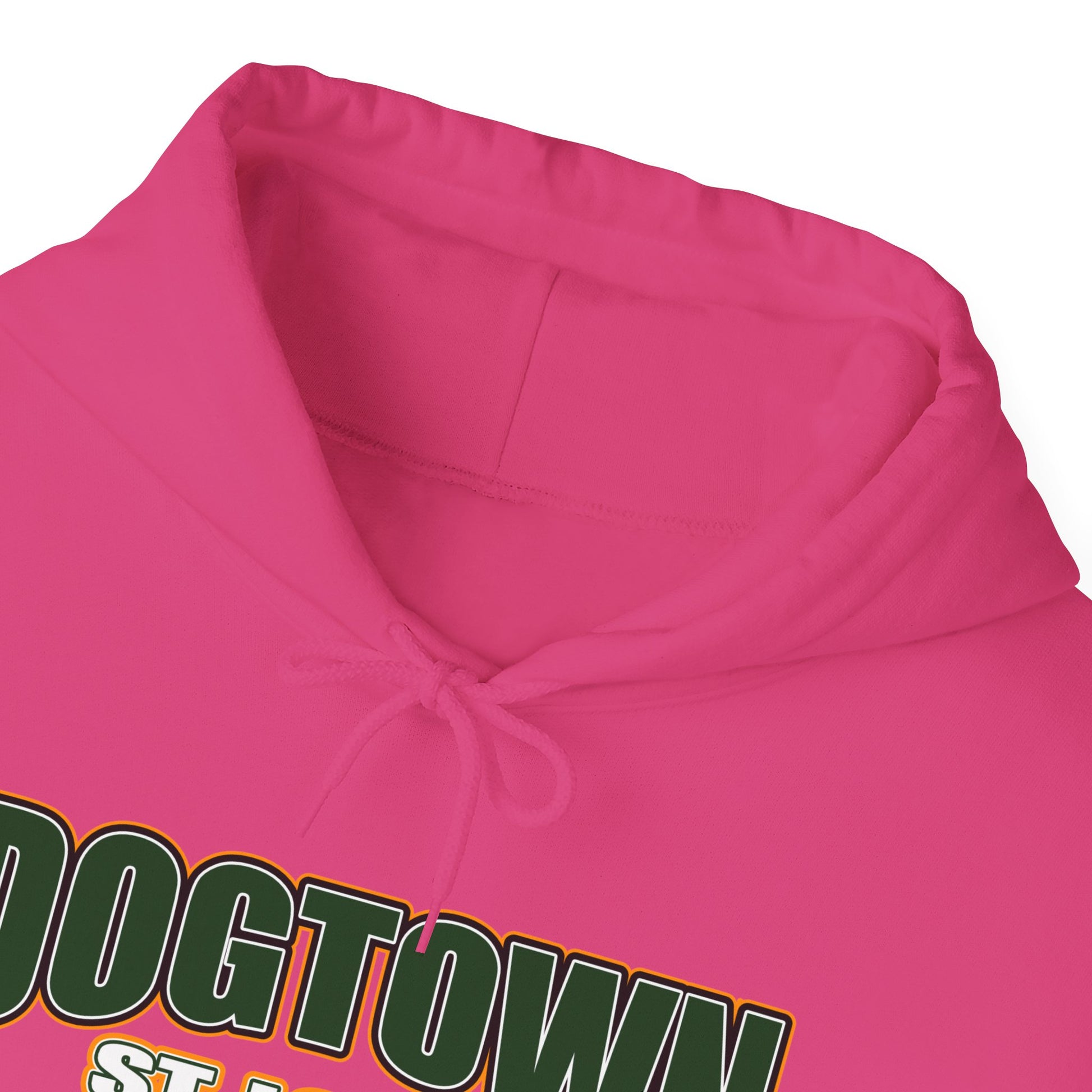 Dogtown Neighborhood Hoodie Printify