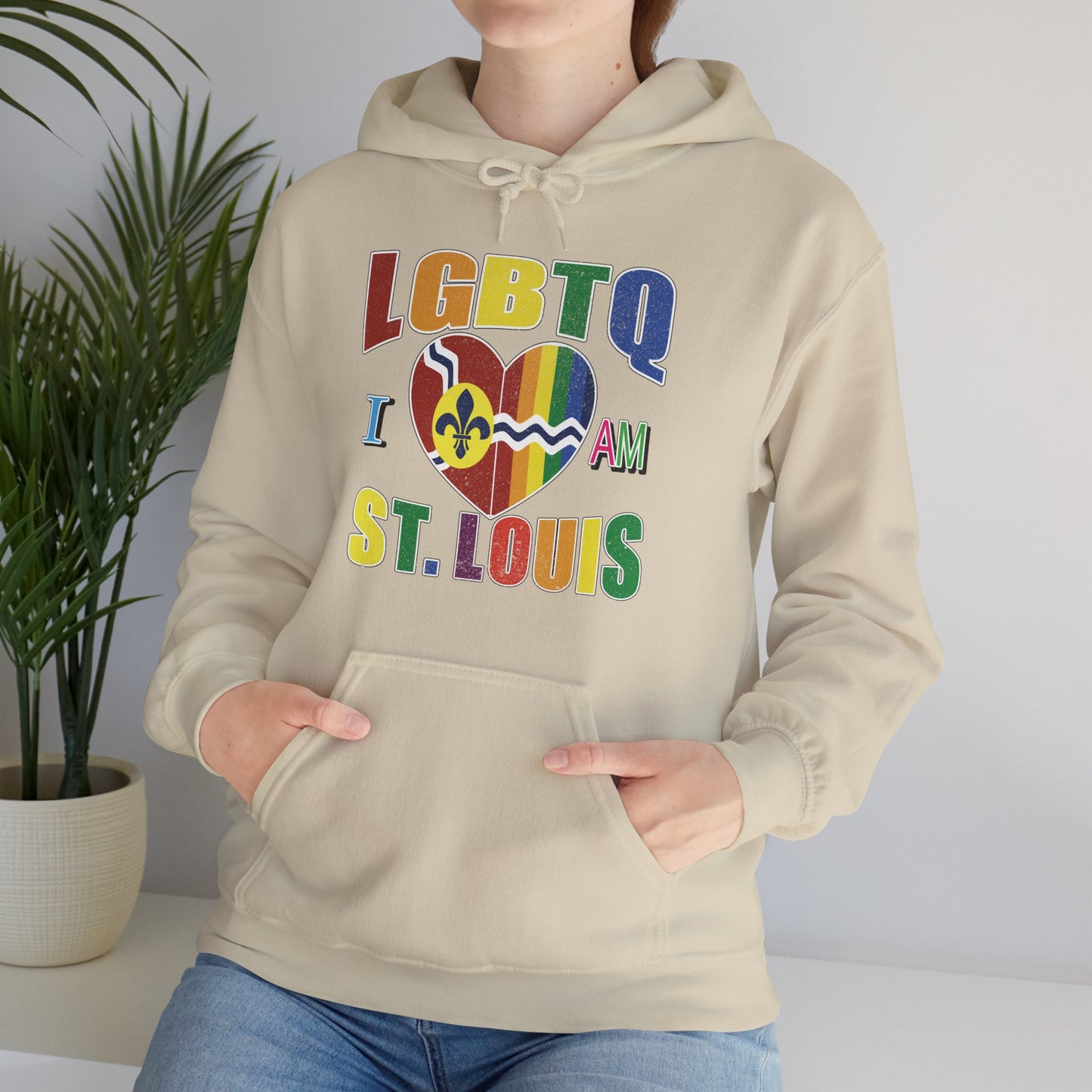 Pride St Louis Hoodie Printify