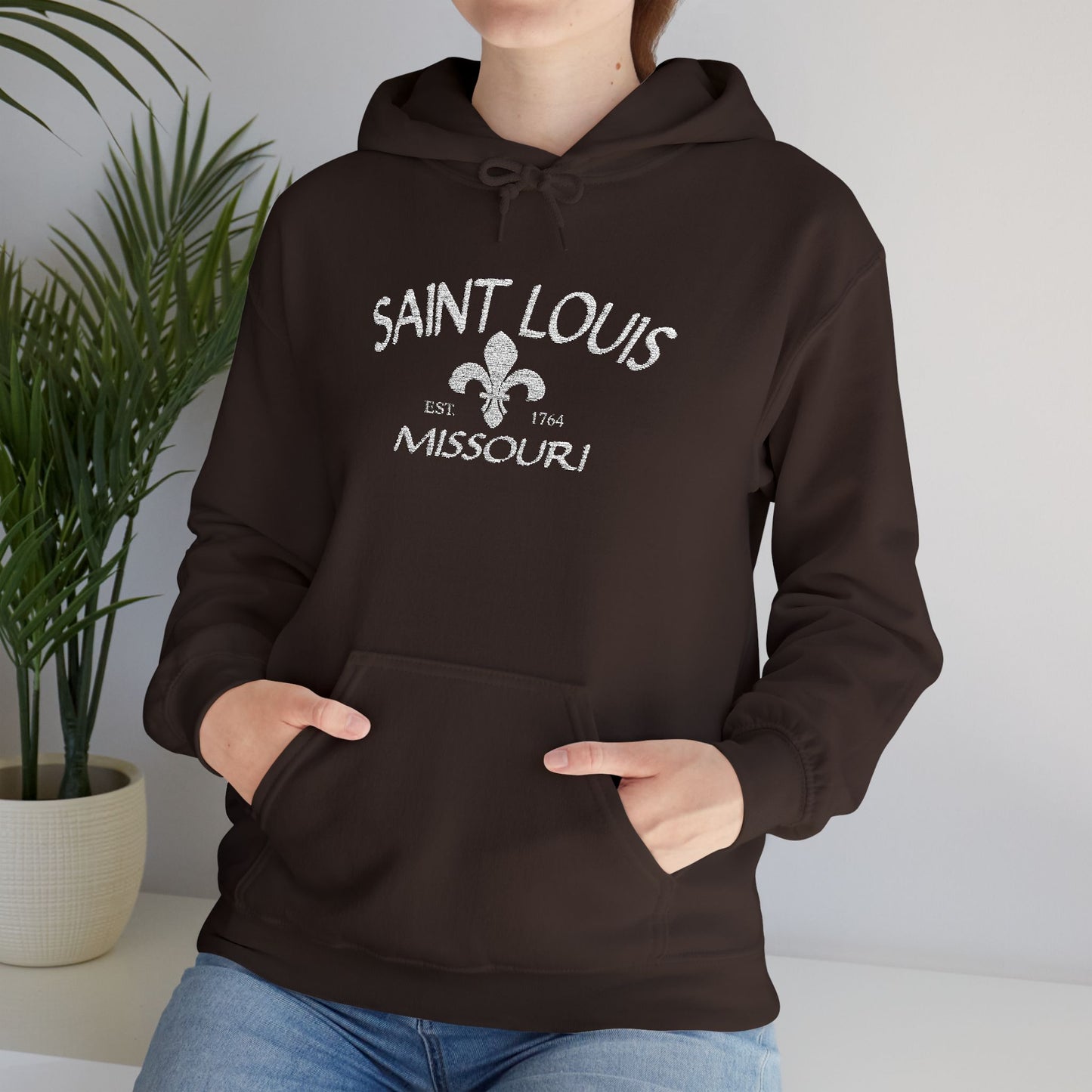 Saint Louis Missouri Embroidered Hoodie — White Lettering Printify