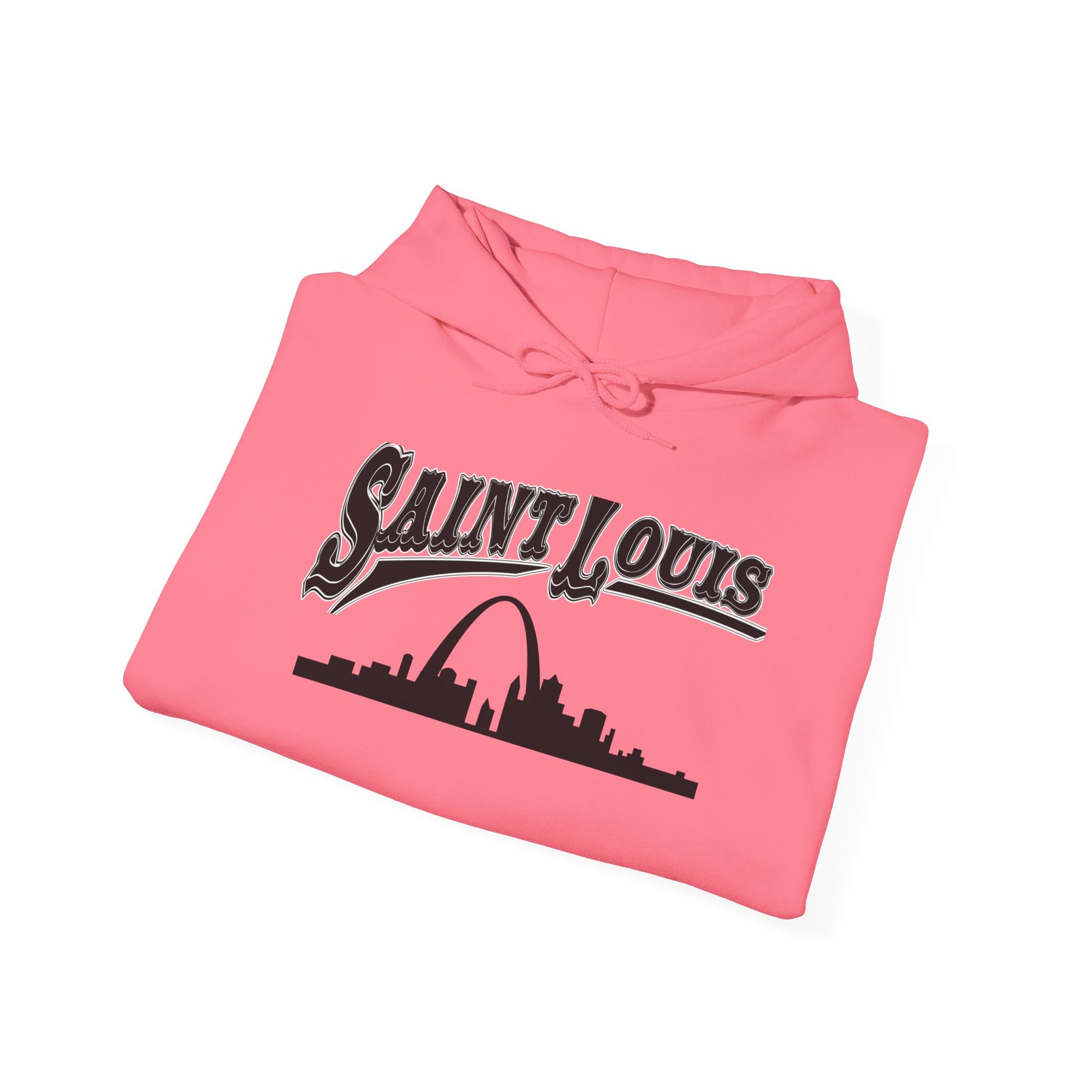 Saint Louis Skyline Hoodie - Unisex Heavy Blend™ Printify