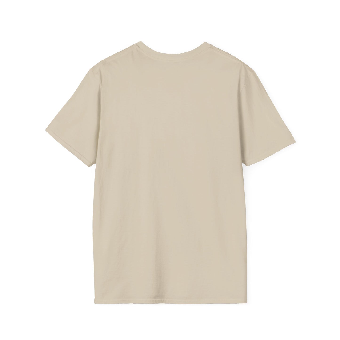 Memorial Day BBQ T-shirt