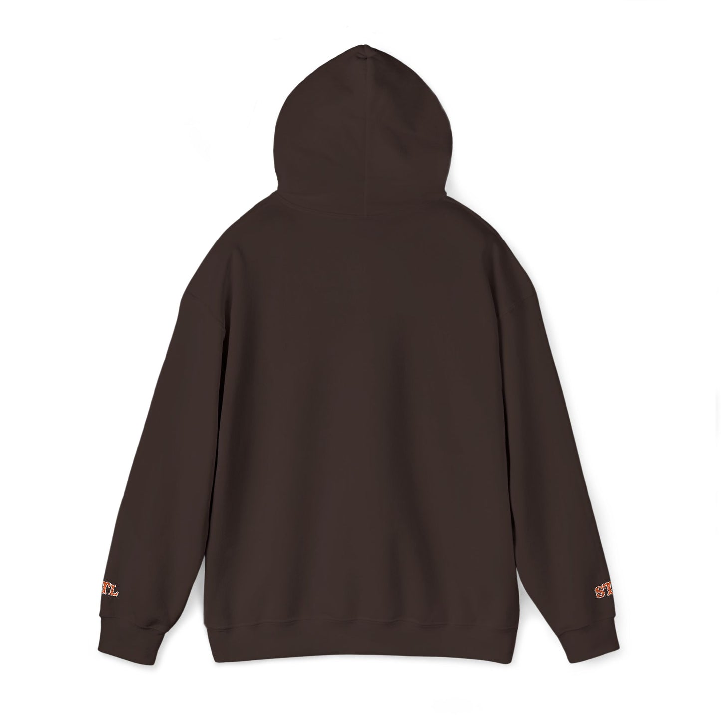 St. Louis Skyline Embroidered Hoodie Printify