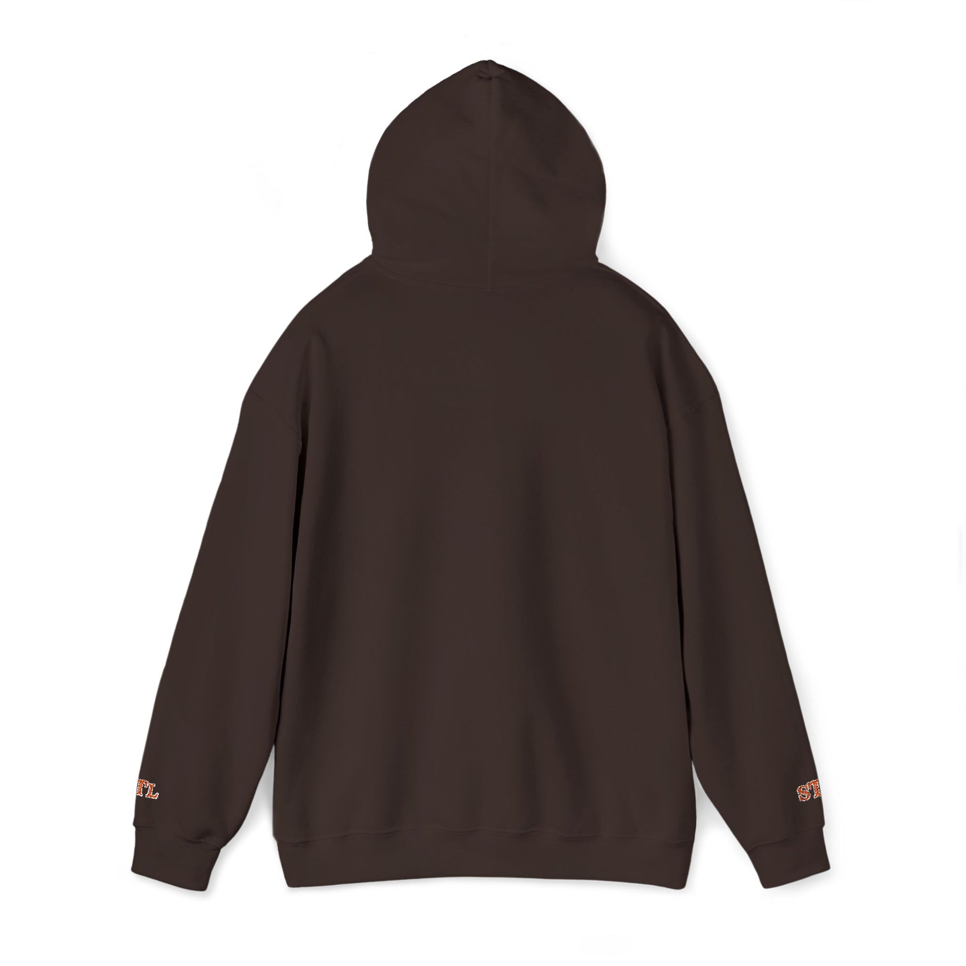 St. Louis Skyline Embroidered Hoodie Printify